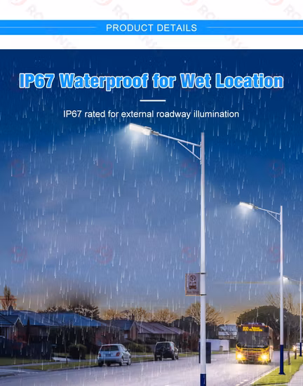 Romanso o ODM China Luz de calle LED con carcasa ETL